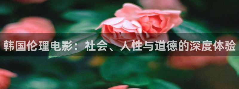 午夜星辰影院