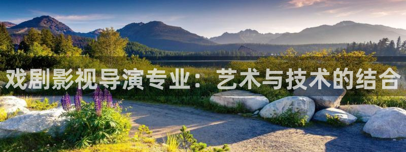 星辰影视狂飙