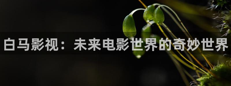 《乌云之上》免费观看全集星辰影院