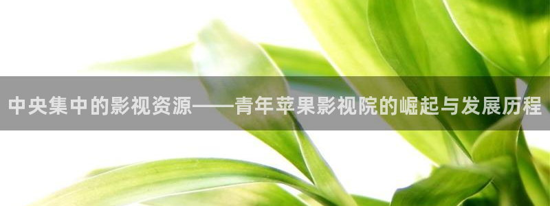 宫锁珠帘免费观看星辰影院