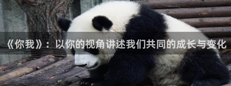 破事精英星辰影院